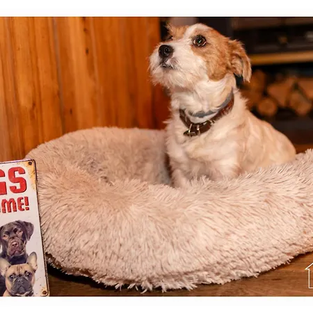 Chalet Entre Amis シャレー